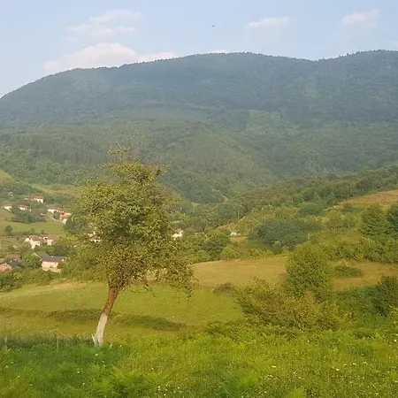 Saraj *